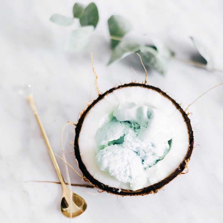 Coconut & Mint Ice Cream